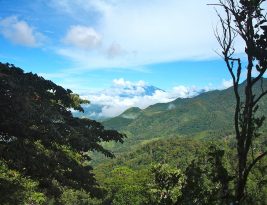 Hiking.  Follow the Trails through Panama’s Beautiful Countryside.