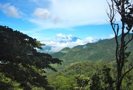 Hiking. Follow the Trails through Panama’s Beautiful Countryside.